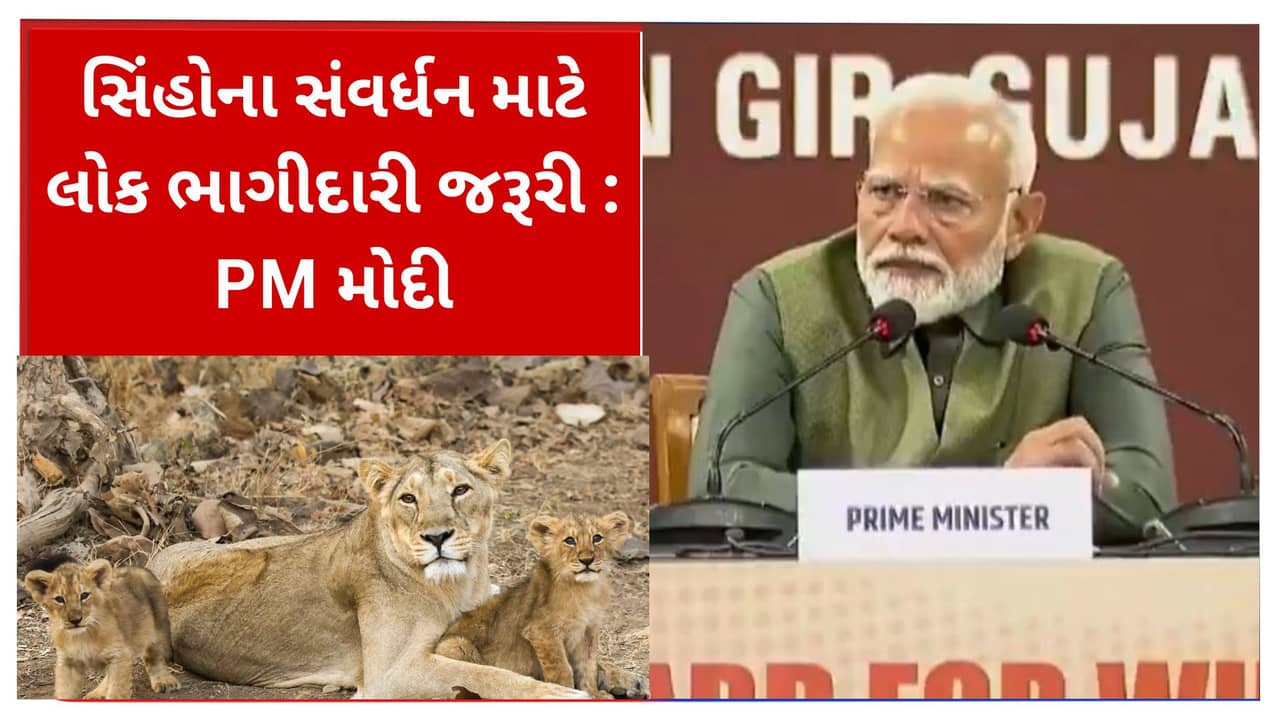 નેશનલ બોર્ડ ઓફ વાઇલ્ડ લાઇફની બેઠકમાં PM મોદીએ કહ્યું, સિંહોના સંવર્ધન માટે લોક ભાગીદારી જરૂરી