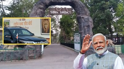 Junagadh : PM મોદી સિંહ દર્શન કરી પરત ફર્યા, રાષ્ટ્રીય વન્યજીવ બોર્ડની બેઠકની અધ્યક્ષતા સંભાળશે, જુઓ Video