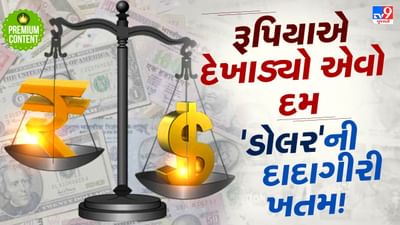 ઈન્ટરનેશનલ માર્કેટમાં રૂપિયાએ દેખાડ્યો દમ, શું હવે ડૉલરની બાદશાહત થશે ખતમ?- વાંચો