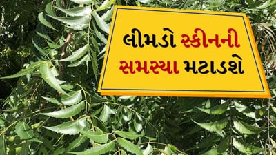 Skin Problems in Summer: ઉનાળાની ઋતુ શરૂ થઈ ગઈ છે અને તેની સાથે ત્વચાની સમસ્યાઓ પણ વધવા લાગી છે. આ ઋતુમાં ગરમીને કારણે આપણને પરસેવો તો થાય જ છે સાથે-સાથે સૂર્ય, ધૂળ અને પ્રદૂષણ પણ ત્વચા પર ખરાબ અસર કરે છે. જેના કારણે ત્વચા સંબંધિત ઘણી સમસ્યાઓ થવા લાગે છે. ઉત્તર ભારતમાં ગરમી એટલી વધી ગઈ છે કે સ્નાન કર્યાના 1 થી 2 કલાક પછી જ શરીરમાંથી પરસેવાની ગંધ આવવા લાગે છે.