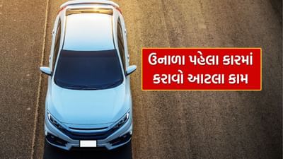 ઉનાળો આવી ગયો છે. ફેબ્રુઆરી પૂરો થતાં જ હળવી ગરમી શરૂ થાય છે.