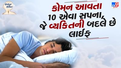 રાત્રે ઊંઘમાં ડૂબેલો વ્યક્તિ હંમેશા કોઈને કોઈ સ્વપ્ન જુએ છે. આ વિવિધ પ્રકારના સપના (૧૪ સ્વપ્ન નામો) દ્વારા આપણને ઘણા સંકેતો મળે છે જે આપણા જીવન સાથે સંબંધિત છે. આ સપના આપણને આપણા ભવિષ્ય વિશે ઘણી બાબતોનો ખ્યાલ પણ આપી શકે છે. કેટલાક સપના આવનારા દિવસોના શુભ અને અશુભ પરિણામો દર્શાવે છે. કેટલાક સપના આપણને ડરાવે છે, જ્યારે કેટલાક સપના આપણા હૃદયમાં શાંતિની અનુભૂતિ કરાવે છે.

