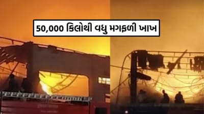 Breaking News : સુરેન્દ્રનગરના થાનગઢમાં ગોડાઉનમાં બીજી વાર મોટી આગ, ટેકાનાં ભાવે ખરીદેલી ખેડૂતોની તમામ મગફળી ખાખ, જુઓ Video