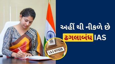 દર વર્ષે લાખો ઉમેદવારો UPSC CSE પરીક્ષા આપે છે. જોકે, ફક્ત થોડા ઉમેદવારોની પસંદગી કરવામાં આવે છે.