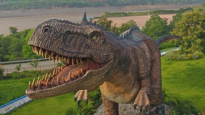 ઉનાળાના વેકેશનમાં મોટાભાગના લોકો શિમલા અને મનાલી જેવા પહાડી વિસ્તારમાં ફરવા જવાનો પ્લાન બનાવે છે. પરંતુ જો તમે બાળકો સાથે ફરવાનો પ્લાન બનાવી રહ્યા છો તો ગુજરાતના આ સ્થળ પર ફરવાનો પ્લાન બનાવી શકો છો.