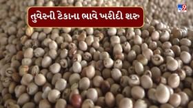છોટાઉદેપુરમાં ટેકાના ભાવે તુવેરની ખરીદી શરુ, ખેડૂતોમાં ખુશીનો માહોલ છોટાઉદેપુરમાં ટેકાના ભાવે તુવેરની ખરીદી શરુ, ખેડૂતોમાં ખુશીનો માહોલ