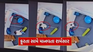CCTV Video : 4 વર્ષના બાળકને ખૂણામાં લઈ ગયા, પગ પર બેસી ધમકાવ્યો, વડોદરા ચાઇલ્ડ ડેવલપમેન્ટ સેન્ટરમાં બાળક સાથે ક્રૂરતા