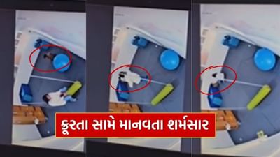 CCTV Video : 4 વર્ષના બાળકને ખૂણામાં લઈ ગયા, પગ પર બેસી ધમકાવ્યો, વડોદરા ચાઇલ્ડ ડેવલપમેન્ટ સેન્ટરમાં બાળક સાથે ક્રૂરતા