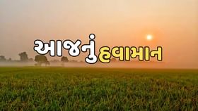 ગુજરાતવાસીઓને કાળઝાળ ગરમીથી મળશે રાહત ! ગુજરાતવાસીઓને કાળઝાળ ગરમીથી મળશે રાહત !