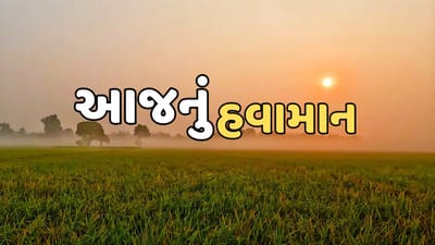 આજનું હવામાન : ગુજરાતવાસીઓને કાળઝાળ ગરમીથી મળશે રાહત, ઠંડો પવન ફૂંકાવાની આગાહી, જુઓ Video આજનું હવામાન : ગુજરાતવાસીઓને કાળઝાળ ગરમીથી મળશે રાહત, ઠંડો પવન ફૂંકાવાની આગાહી, જુઓ Video