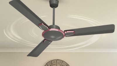 ગરમીની શરુઆત થઈ ગઈ છે ત્યારે હાલ દરેક ઘરમાં પંખા ધમધોકાર ચાલતા હોય છે. 