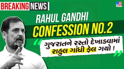 રાહુલ ગાંધીના જીવનનું સૌથી મોટું કન્ફેશન ! ક્હ્યું- હું અને પાર્ટી ગુજરાતને રસ્તો ના દેખાડી શક્યા, જુઓ-Video