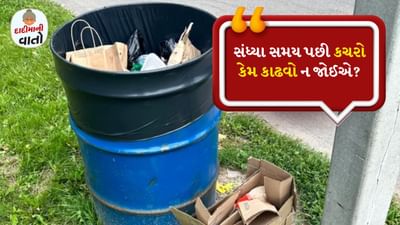 જ્યારે પણ તમે સૂર્યાસ્ત પછી ઝાડુ કરો છો ત્યારે ઘરની બહાર કચરો કે માટી ન ફેંકો. તેને ક્યાંક કચરાપેટીમાં નાખો અને સવારે બહાર ફેંકી દો. એવું માનવામાં આવે છે કે સાંજે ઘરની બહાર માટી ફેંકવાથી દેવી લક્ષ્મી નારાજ થાય છે.