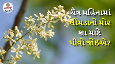 દાદીમાની વાતો: જો તમે તમારી દાદીમાએ આપેલી સલાહનું પાલન કરશો, તો તમે ભવિષ્યમાં બનનારી કોઈપણ અનિચ્છનીય કે અશુભ ઘટનાને ટાળી શકો છો. આયુર્વેદ પણ લીમડામાં આવતા ફુલો ને ખાવા જોઈએ એમાં માને છે. જેનાથી આપણને શરીરમાં ઘણા લાભ થાય છે. સ્કીન પ્રોબલેમથી લઈને અનેક રોગો મટાડે છે. 
