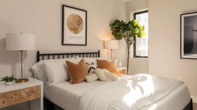 આપણા ઘરમાં ઘણી બધી એવી વસ્તુઓ છે જે વાસ્તુ અનુસાર રાખવી સારી માનવામાં આવે છે. એવું માનવામાં આવે છે કે વાસ્તુ અનુસાર ઘરમાં વસ્તુઓ રાખવાથી વાસ્તુ દોષ દૂર થાય છે  અને ઘરમાં સુખ-સમૃદ્ધિ આવે છે. વસ્તુઓને સુઘડ રાખવા માટે યોગ્ય દિશા અને સ્થળ પસંદ કરવું એ વાસ્તુ શાસ્ત્ર સાથે જોડાયેલું છે. હિન્દુ ધર્મમાં ઘણી એવી વસ્તુઓ છે જે વાસ્તુ અનુસાર રાખવી મહત્વપૂર્ણ માનવામાં આવે છે. ( Credits: Getty Images ) 