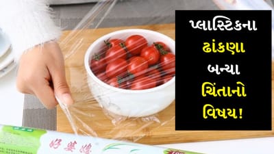 આજકાલ પ્લાસ્ટિક આપણા જીવનનો એક મહત્વપૂર્ણ ભાગ બની ગયું છે. દરેક વસ્તુમાં પ્લાસ્ટિકનો વ્યાપક ઉપયોગ થઈ રહ્યો છે. બજારમાંથી સામાન ખરીદવો હોય કે ખોરાકનો સંગ્રહ કરવો અને તેને રાંધવો હોય પ્લાસ્ટિકનો ઉપયોગ વધી રહ્યો છે. ઘણા લોકો ઈડલી, ઢોકળા કે અન્ય બાફેલા ખોરાક માટે પ્લાસ્ટિકના કન્ટેનરનો ઉપયોગ કરે છે પરંતુ શું તમે જાણો છો કે તે સ્વાસ્થ્ય માટે કેટલું જોખમી હોઈ શકે છે?