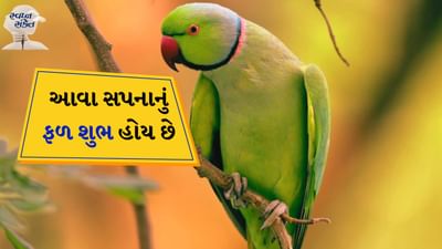 સ્વપ્નમાં પોપટ જુઓ: સ્વપ્ન શાસ્ત્ર અનુસાર સ્વપ્નમાં પોપટ જોવો શુભ માનવામાં આવે છે. એવું માનવામાં આવે છે કે સ્વપ્નમાં પોપટ જોવાથી આર્થિક લાભ થાય છે.
