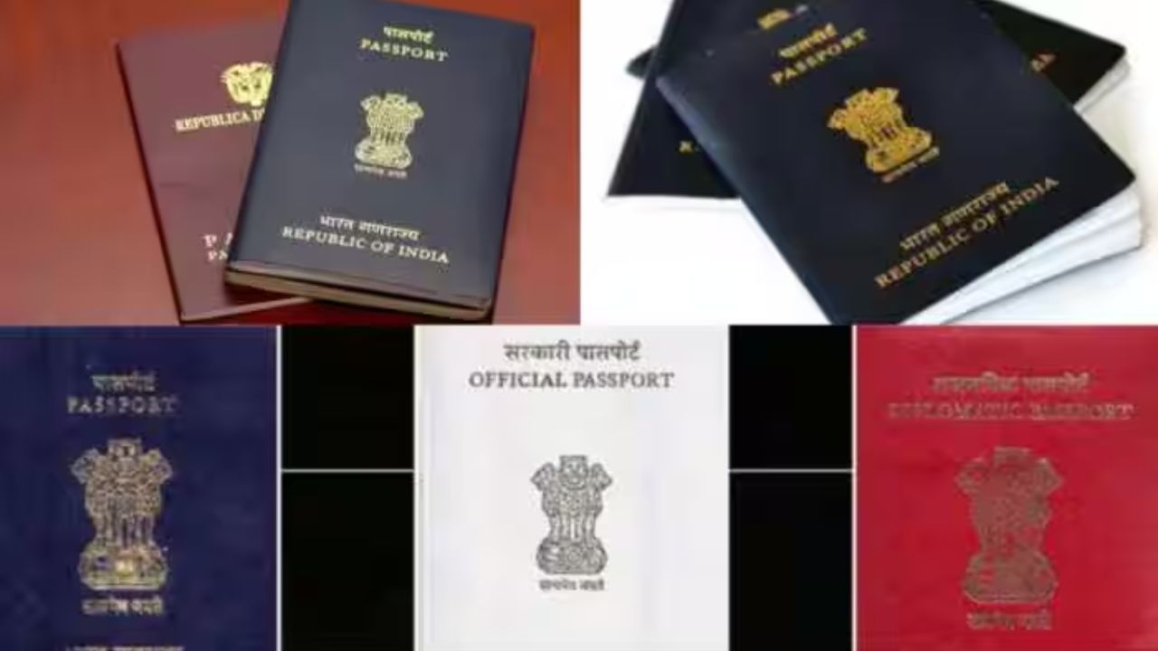ભારતમાં પસપોર્ટ માત્ર બ્લુ રંગનો નહીં, પરંતુ અનેક કલરના હોય છે. જે દરેકની ખાસ ઓળખ વિશે જણાવે છે. ભારતમાં પાસપોર્ટ મરૂન, વાદળી અને સફેદ રંગના હોય છે. 