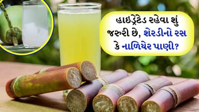 ઉનાળાની ઋતુ દસ્તક દેવા માટે તૈયાર છે. આવી સ્થિતિમાં એક તરફ લોકો વધતી ગરમીનો સામનો કરવા માટે તૈયારીઓમાં વ્યસ્ત છે, તો બીજી તરફ ઘણા લોકો એવા છે જેમને કાળઝાળ તડકામાં બહાર જઈને કામ કરવું પડશે. તેથી આ ગરમીમાં હીટ સ્ટ્રોક અને અન્ય રોગોથી પોતાને બચાવવા માટે આપણે પોતાને હાઇડ્રેટેડ રાખીએ અને પુષ્કળ ફળો અને લીલા પાંદડાવાળા શાકભાજીનું સેવન કરીએ તે મહત્વપૂર્ણ છે. જો કે ઉનાળામાં શેરડીનો રસ અને નાળિયેર પાણી પીવાથી જે રાહત મળે છે તે બીજી કોઈ પણ વસ્તુથી અજોડ છે.