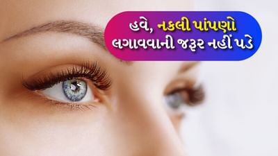 જો તમે કુદરતી રીતે તમારી પાંપણોને જાડી અને ઘેરી બનાવવા માંગો છો, તો કેટલાક ઘરેલું ઉપાયો તમને મદદ કરી શકે છે. આનાથી તમારી પાંપણની વૃદ્ધિ તો થશે જ સાથે-સાથે પાંપણ મજબૂત અને સ્વસ્થ પણ બનશે. તો ચાલો જાણીએ પાંપણ લાંબી અને ઘેરી બનાવવાના કેટલાક સરળ ઘરેલું ઉપાયો