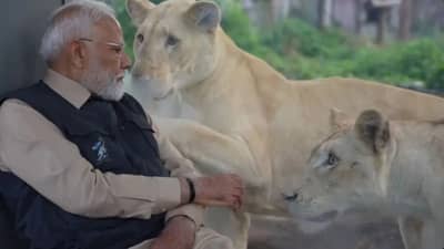 PM મોદીએ જામનગરમાં વનતારા વાઇલ્ડલાઇફ સેન્ટરનું કર્યું લોકાર્પણ, જુઓ વીડિયો