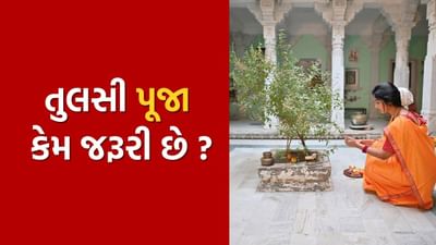 તુલસીની પૂજા કરવાથી ઘરનું વાતાવરણ શુદ્ધ અને સકારાત્મક ઉર્જાથી ભરેલું બને છે. તે માનસિક શાંતિ અને આધ્યાત્મિક પ્રગતિમાં મદદ કરે છે.