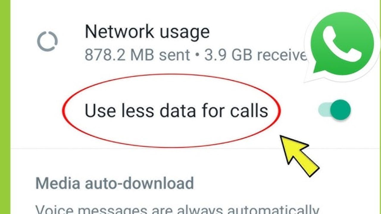 Use Less Data For Calls: જો તમે WhatsApp પર કૉલ કરો છો, તો તમારે એ પણ જાણવું જોઈએ કે કૉલિંગ દરમિયાન પણ તમારો મોબાઇલ ડેટા કેવી રીતે સેવ કરી શકાય છે. આ માટે, તમારે WhatsApp સેટિંગ્સના સ્ટોરેજ અને ડેટા વિભાગમાં 'કૉલ્સ માટે ઓછા ડેટાનો ઉપયોગ કરો' વિકલ્પને બંધ કરવો પડશે.