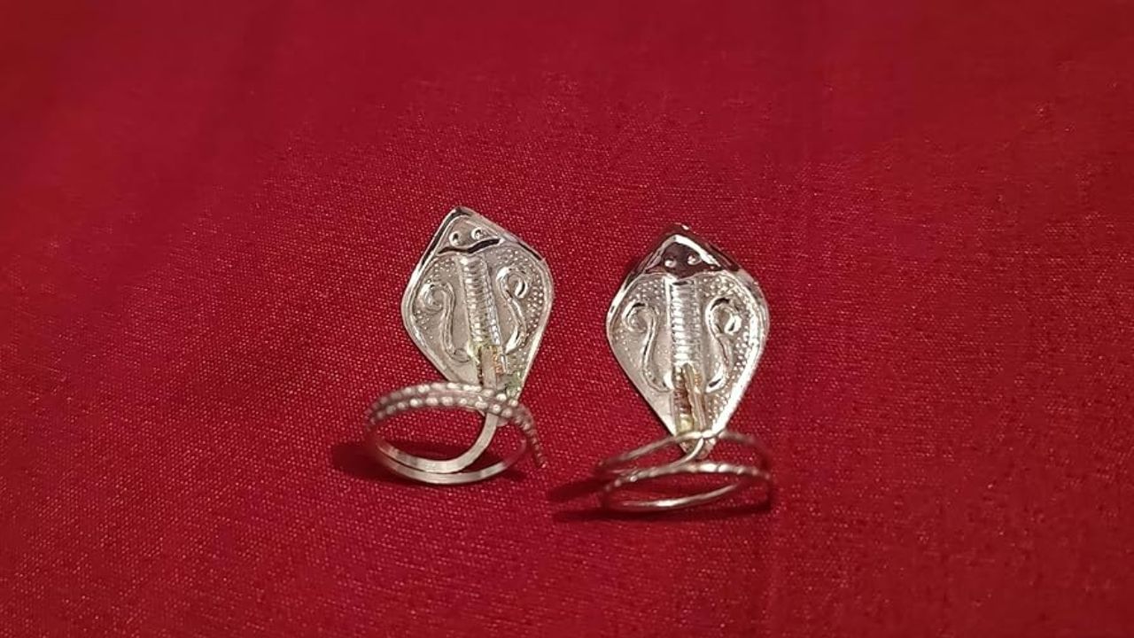 ચાંદીના સાપની જોડી: વાસ્તુ શાસ્ત્રમાં, સાપને પૃથ્વી અને પાતાળના રક્ષક માનવામાં આવે છે. ચાંદીના સાપની જોડી રાખવાથી ઘરનો પાયો સુરક્ષિત રહે છે અને ખરાબ શક્તિઓનો પ્રભાવ ઓછો થાય છે. તે ફળદ્રુપતા અને સમૃદ્ધિનું પણ પ્રતીક છે.