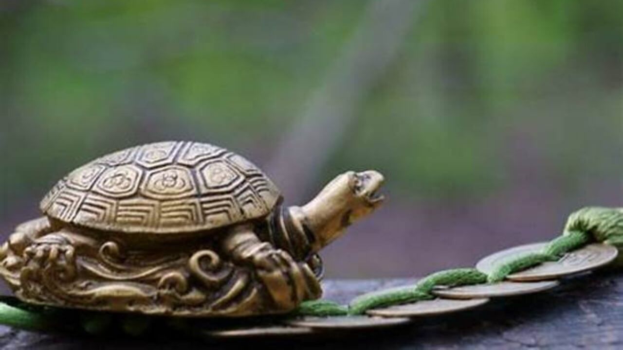 પિત્તળનો કાચબો: કાચબો સ્થિરતા, દીર્ધાયુષ્ય અને વૃદ્ધિનું પ્રતીક છે. પાયામાં પિત્તળનો કાચબો રાખવાથી ઘરનો પાયો મજબૂત બને છે અને પરિવારના સભ્યોનું આયુષ્ય સ્થિર અને લાંબુ બને છે.