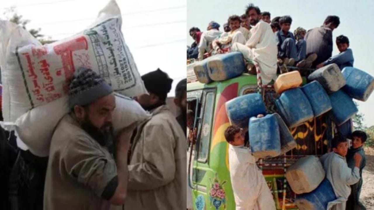 સિંધુ જળ વ્યવસ્થા ફક્ત પાકિસ્તાન માટે જરૂરી નથી પણ તેના અસ્તિત્વ સાથે પણ જોડાયેલી છે. કારણ કે પાકિસ્તાનની 80% ખેતીલાયક જમીન (લગભગ 1.6 કરોડ હેક્ટર) આ પાણી વ્યવસ્થા પર આધારિત છે. આ પાણીનો 93% ઉપયોગ સિંચાઈ માટે થાય છે. 23.7 કરોડ લોકોનું જીવન તેના પર નિર્ભર છે. સિંધુ બેસિનની 61% વસ્તી પાકિસ્તાનમાં છે. આ સિસ્ટમ પાકિસ્તાનના GDPમાં લગભગ 25% ફાળો આપે છે અને ઘઉં, ચોખા, શેરડી અને કપાસ જેવા પાકોના વિકાસમાં મદદ કરે છે.