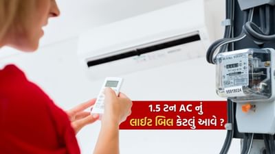 વધતી ગરમીને કારણે હવે ઘરે કે ઓફિસમાં AC ચલાવવાની જરૂર પડી રહી છે.