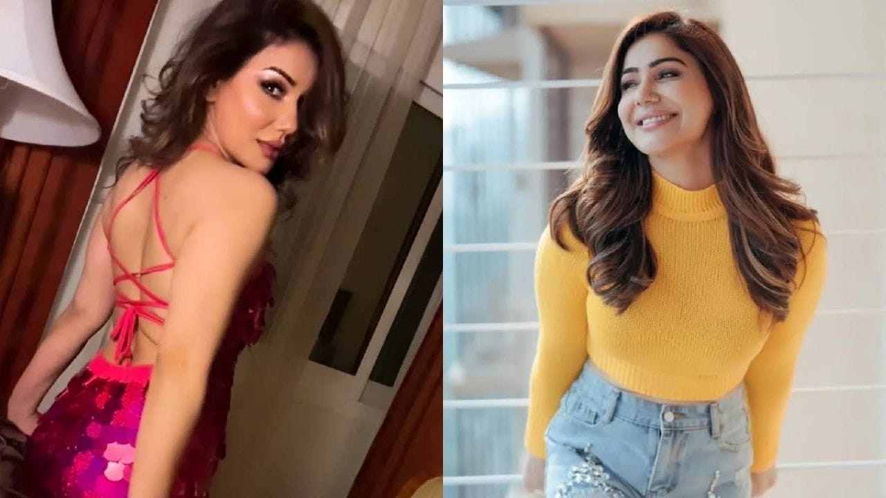 આ સમય દરમિયાન, કંગનાએ તેના લગ્ન અને પતિ વિશે ઘણા ખુલાસા કર્યા, જેનાથી તેના ચાહકો આશ્ચર્યચકિત થઈ ગયા. કંગના શર્માએ જણાવ્યું કે તે 2019 માં યોગેશ નામના એક વ્યક્તિને મળી હતી, જેણે તેને પ્રપોઝ કર્યું હતું. 