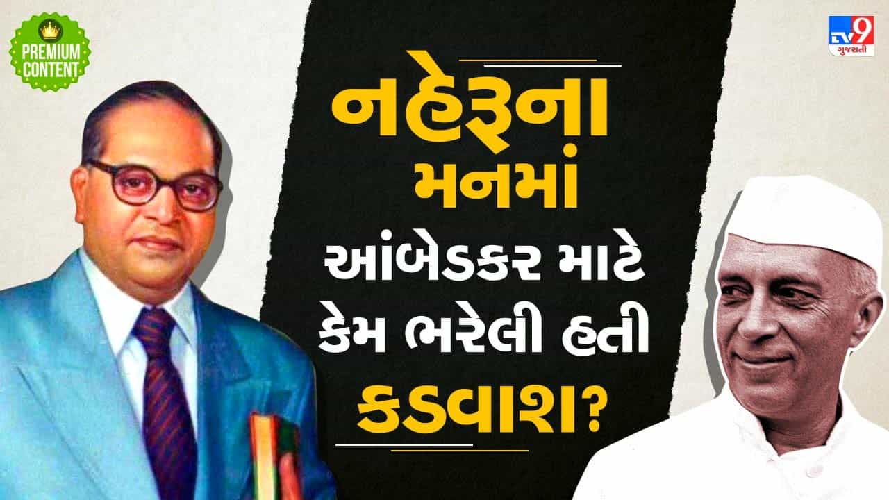 કેવા હતા આંબેડકર અને નહેરૂ વચ્ચેના સંબંધો? કેમ પંડિતજીને આંખના કણાની માફક ખૂંચતા હતા બાબા સાહેબ- વાંચો