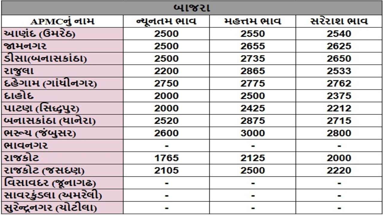 બાજરાના તા.24-04-2025ના રોજ APMCના ભાવ રૂ.1765 થી 3000 રહ્યા.