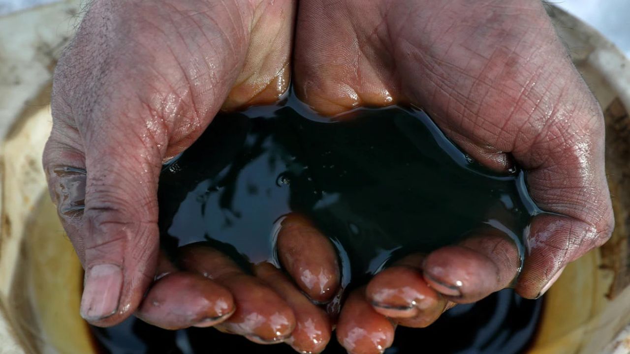 પાછલા સત્રમાં OIL India ના શેર 6.77% ઘટીને ₹359.9 પ્રતિ શેર પર બંધ થયા. છેલ્લા છ મહિનામાં આ શેર ૩૪.૨૫% ઘટ્યો છે અને આ વર્ષે અત્યાર સુધીમાં ૧૭.૬૬% ઘટ્યો છે.