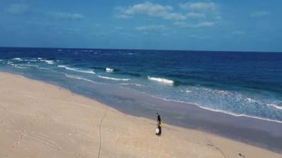 સુરતમાં ફરવા જવા માટે પ્લાન કરી રહ્યાં છો તો તમારે ડુમસ બીચની મુલાકાત અવશ્ય લેવી જોઈએ. બીચ પર તમે સૂર્ય ઉદય અને સૂર્યાસ્તનો સુંદર નજારો જોઈ શકો છો.