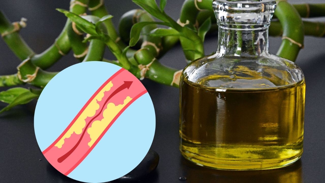 જો આપણે ફાયદા વિશે વાત કરીએ, તો તેને આહારમાંથી દૂર કરવાથી ખરાબ કોલેસ્ટ્રોલ ઘટશે. તે હૃદયના સ્વાસ્થ્ય માટે ખૂબ જ ફાયદાકારક છે.