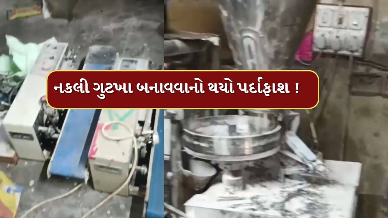 Gandhinagar : લો બોલો ! હવે નકલી ગુટખા બનાવતી ફેકટરી ઝડપાઇ, પોલીસે 4 આરોપીની કરી ધરપકડ, જુઓ Video