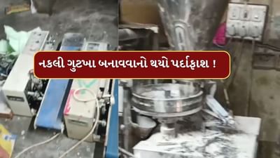 Gandhinagar : લો બોલો ! હવે નકલી ગુટખા બનાવતી ફેકટરી ઝડપાઇ, પોલીસે 4 આરોપીની કરી ધરપકડ, જુઓ Video