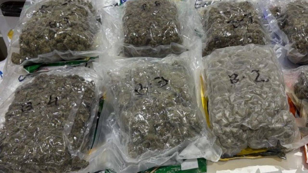 Ahmedabad : અમદાવાદ એરપોર્ટ પરથી ઝડપાયો 37 કરોડનો હાઈબ્રીડ ગાંજો, જુઓ Video