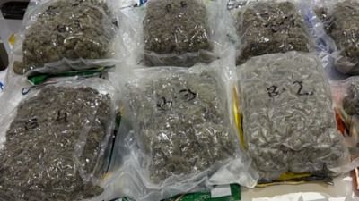 Ahmedabad : અમદાવાદ એરપોર્ટ પરથી ઝડપાયો 37 કરોડનો હાઈબ્રીડ ગાંજો, જુઓ Video Ahmedabad : અમદાવાદ એરપોર્ટ પરથી ઝડપાયો 37 કરોડનો હાઈબ્રીડ ગાંજો, જુઓ Video