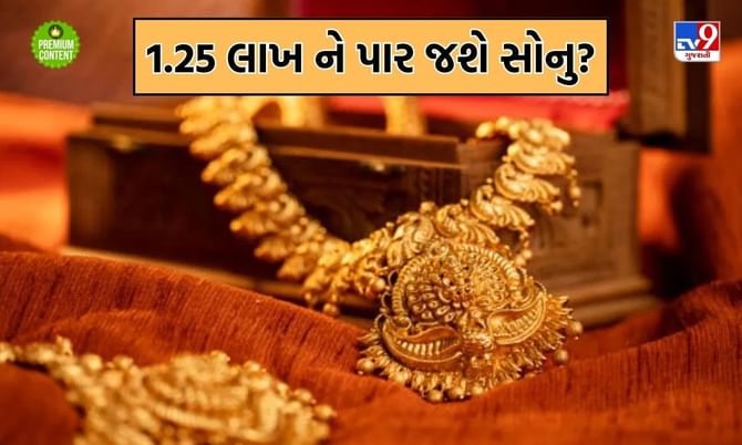 શું 1.25 લાખે પહોંચી જશે સોનુ? જાણો કેમ ગોલ્ડમાં કેમ આવી રહી છે તેજી? શું 1.25 લાખે પહોંચી જશે સોનુ? જાણો કેમ ગોલ્ડમાં કેમ આવી રહી છે તેજી?