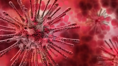 મહિલાઓમાં ગોનોરિયા ઈન્ફેક્શન એક સામાન્ય ઈન્ફેક્શન છે. આ સંક્રમણ નીસેરિયા ગોનેરિયા નામના બેક્ટીરિયા દ્વારા થાય છે.જેને ક્લૈપ કે ડ્રિપ પણ કહેવામાં આવે છે. આ સંક્રમણ યૌન સંબંધથી પણ સક્રિય થઈ શકે છે અને આ ઈન્ફેક્શન તમારા પાર્ટનરને પણ થઈ શકે છે. આ સિવાય મહિલાઓની પ્રેગ્નેન્સી દરમિયાન બાળકોને પણ ઈન્ફેક્શન લાગી શકે છે.