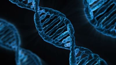 અનિચ્છનીય ગર્ભાવસ્થાનો સામનો કરવા માટે, મોટાભાગની મહિલાઓ ગર્ભપાતની ગોળી (Abortion Pills)ઓ લે છે. પરંતુ શું તમે જાણો છો કે ડોક્ટરની સલાહ વિના આ દવાઓ લેવી ખતરનાક સાબિત થઈ શકે છે. આવનારી ગર્ભાવસ્થા પર આની શું અસર પડશે તે જાણો.