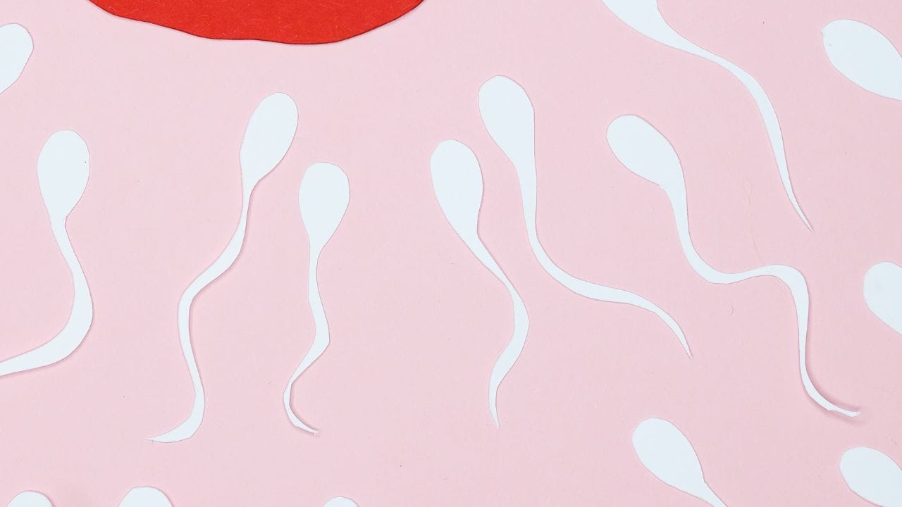 AMHનું સ્તર ઉંમરની સાથે ઘટવા લાગે છે કારણ કે, જન્મના સમયમાં એક મહિલાના એગ્સની સંખ્યા વધારે હોય છે.પરંતુ સમય જતાં આ સંખ્યા ઓછી થવા લાગે છે.આ ટેસ્ટ મહિલાઓની પ્રજનન ક્ષમતાને સમજવા અને આઈવીએફની સફળતાનો દર નક્કી કરવામાં મદદરૂપ થાય છે.આઈવીએફ કે મહિલાઓના પ્રજનન સ્વાસ્થ સાથે જોડાયેલી સમસ્યામાં AMH Test કરવામાં આવે છે.