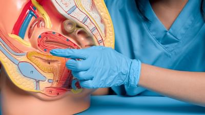 બાઉલ મૂવમેન્ટનો અર્થ થાય છે મળ ત્યાગ (શૌચ), આ પાચનતંત્રનો એક ભાગ છે. જે દરમિયાન શરીરમાંથી કચરો (મળ) દ્વારા બહાર નીકળી જાય છે.બાઉલ મૂવમેન્ટ દરમિયાન કબજીયાત રહે છે અને હેલ્થ ખરાબ થાય છે.