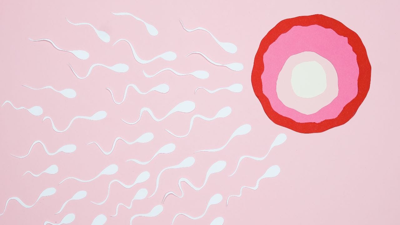 કુદરતી રીતે AMH સ્તર વધારવું શક્ય નથી, પરંતુ સ્વસ્થ લાઈફસ્ટાઈલ અપનાવીને અને ચોક્કસ દવાઓ લઈને એગ્સની ગુણવત્તામાં સુધારો કરી શકાય છે.નિષ્ણાતો કહે છે કે IVF ની સફળતાનો દર મહિલાની ઉંમર અને તેના સ્વાસ્થ્યની સ્થિતિ પર આધાર રાખે છે.