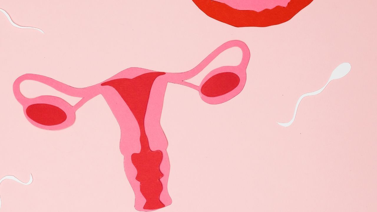 આ બધા વચ્ચે ડોક્ટર આઈવીએફ માટેની સલાહ લોકોને આપે છે.IVFની પ્રકિયા કેટલાક તબક્કાઓ છે. જેમાં સૌથી પહેલા મહિલા અને પુરુષના કેટલાક ટેસ્ટ કરવામાં આવે છે. જેમાં AMH - Anti-Müllerian Hormone ટેસ્ટ સામેલ કરવામાં આવે છે. આ ટેસ્ટ આઈવીએફની પ્રકિયામાં એક મહત્વપૂર્ણ ટેસ્ટ માનવામાં આવે છે.