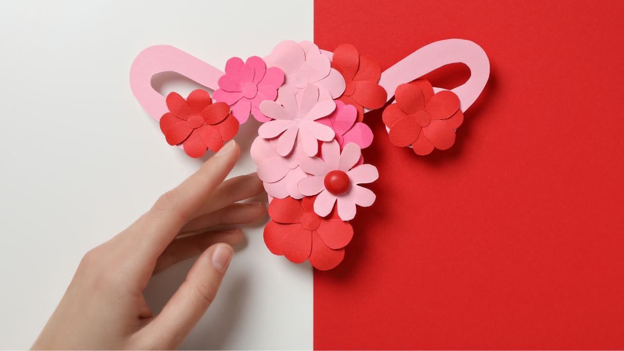 નોંધ : અહીં આપવામાં આવેલી માહિતી ફક્ત આપની જાણકારી માટે છે. કોઈ પણ ઈલાજ કરતાં પહેલા કે,અમલમાં લેતા પહેલા નિષ્ણાતોની સલાહ લેવી જરુરી છે. ( all photo:canva)