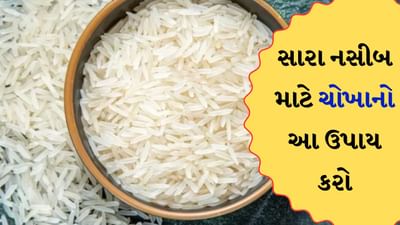 તમે જોયું હશે કે જીવનમાં ઘણી વખત આપણે ખૂબ મહેનત કરીએ છીએ પણ આપણને અપેક્ષિત સફળતા મળતી નથી. જીવનમાં સખત મહેનત કર્યા પછી પણ ક્યારેક એવું લાગે છે કે કંઈક ખૂટી રહ્યું છે. ઘણીવાર, આપણી કુંડળીમાં ગ્રહોના દોષોને કારણે આપણા મહત્વપૂર્ણ કાર્યો અધૂરા રહે છે અને આપણા જીવનમાં નકારાત્મકતા વધે છે. આવી સ્થિતિમાં જ્યોતિષ શાસ્ત્રમાં ઘણી બધી બાબતો છે જે તમારા ભાગ્યને મજબૂત બનાવશે અને મહત્વપૂર્ણ કાર્યોમાં પ્રગતિ કરવામાં મદદ કરશે. વાસ્તુ શાસ્ત્રમાં આવા ઘણા ઉપાયોનો ઉલ્લેખ કરવામાં આવ્યો છે જે તમારા ભાગ્યને ઉજ્જવળ બનાવવામાં મદદ કરી શકે છે.